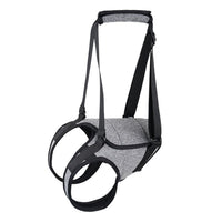 Pet Dog Rear Leg Support Harness for Hip Dysplasia and Injury Recovery