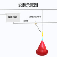 Automatic Poultry Drinker for Chickens, Ducks, and Geese - Plasson-Type Waterer