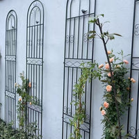 Heavy-Duty Iron Garden Trellis for Climbing Plants, Roses, Clematis, and Vines