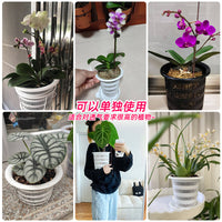 Meishi Double-Layer Breathable Orchid Pot with Root Control for Phalaenopsis and Oncidium