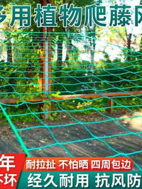 Plant Trellis Netting for Climbing Fruits and Vegetables