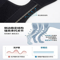 Pet Dog Knee Brace for ACL Tear Injury Recovery Joint Support