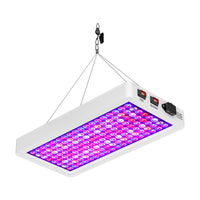 Full Spectrum LED Grow Light for Indoor Plants Seedling Succulents Greenhouse Hydroponics