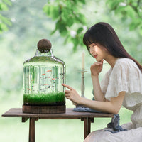 Japanese Style Thickened Glass Fish Tank with Wooden Base, Creative Ecological Bottle for Hydroponics