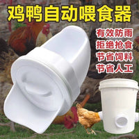 Automatic Poultry Feeder with Rainproof Ports for Chickens Ducks Geese