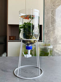5L Transparent Bucket Aquarium Kit with Stand and Drain Tap for Easy Fish Keeping