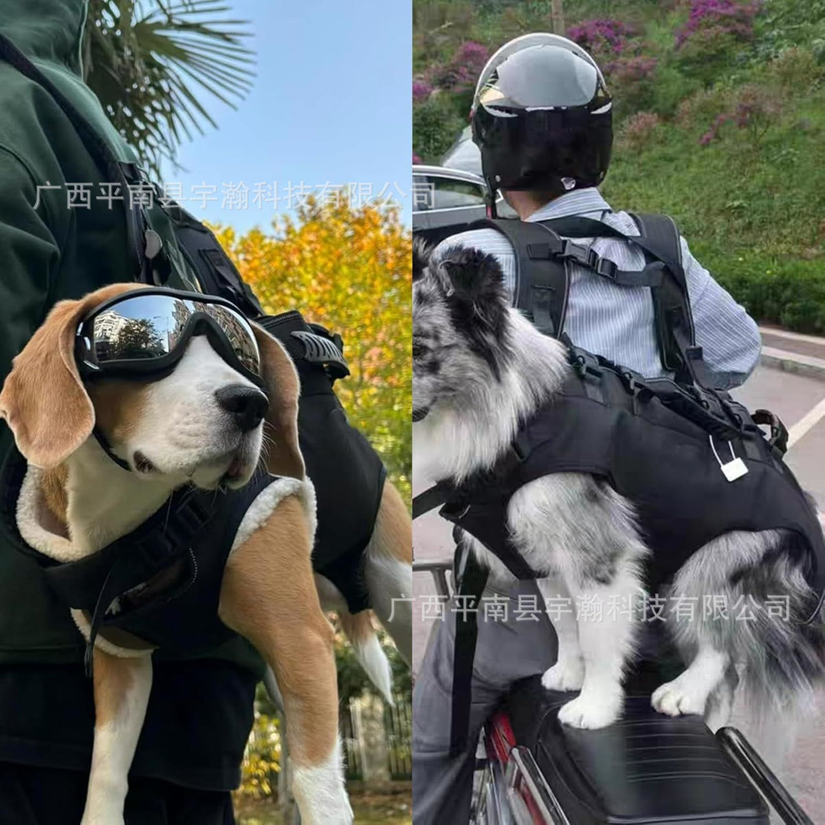 Full Body Dog Lift Harness for Injured, Disabled, or Elderly Dogs - Support Sling for Walking, Recovery, and Mobility