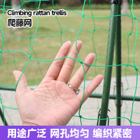 Garden Trellis Netting for Climbing Plants, Fruits, Vegetables, and Flowers