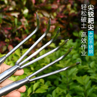 Stainless Steel Garden Rake for Potted Plants and Soil Loosening