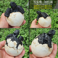 Realistic Tortoise Model Reptile Craft Ornament for Sulcata Red-Footed Radiated Hermann's Tortoises