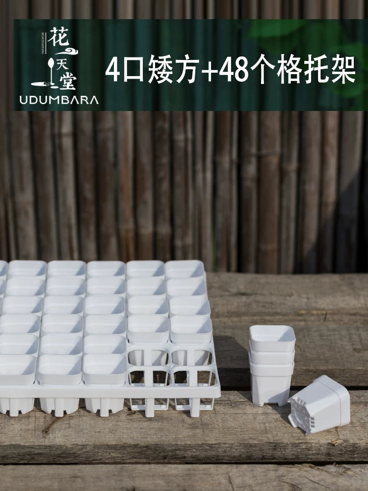 Mini Square Succulent Planter Pot with 4 Holes, Plastic Seedling Tray and Drip Tray for Balcony Gardening