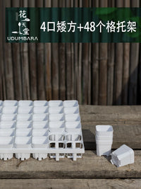 Mini Square Succulent Planter Pot with 4 Holes, Plastic Seedling Tray and Drip Tray for Balcony Gardening