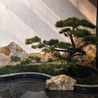 Natural Landscape Garden Stones for Yard and Rockery - Taihang Gold, Baipo Yellow, China Black