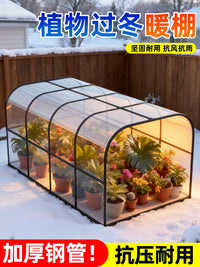 Portable Mini Greenhouse for Plants, Outdoor Winter Warmth and Frost Protection