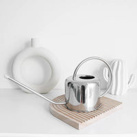 Nordic Long Spout Stainless Steel Watering Can for Indoor Plants & Garden, 1.3L