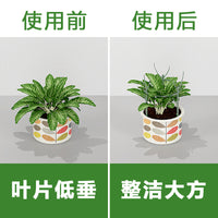 Modular Plant Support Stakes for Potted Plants and Orchids, Expandable Garden Trellis Kit