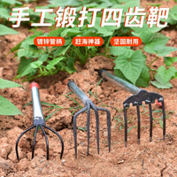 Seashell Clam Rake with Iron Handle for Beachcombing and Farming