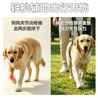 Dog Rear Leg Support Harness for Elderly and Injured Dogs, Rehabilitation Aid