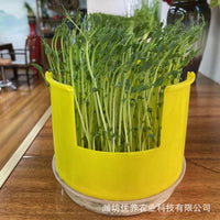 Round Hydroponic Seedling Tray for Home Gardening, Soilless Cultivation Germination Planter