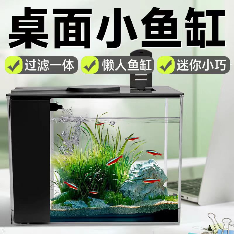 Desktop Self-Circulating Aquarium with Side Filter and Pump for Office and Home Decor