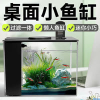 Desktop Self-Circulating Aquarium with Side Filter and Pump for Office and Home Decor