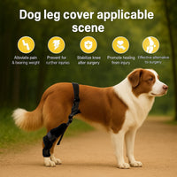 Pet Dog Rear Leg Brace Knee Joint Protector
