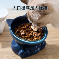 Ceramic Tilted Pet Bowl for Cats and Small Dogs, Anti-Tip Design, Food and Water Dish for Kittens and Puppies