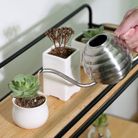 Stainless Steel Watering Can with Spray Nozzle for Indoor Plants and Gardening, 400ml/500ml