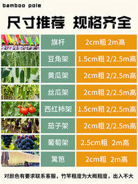 Natural Bamboo Garden Stakes for Plant Support and Trellises