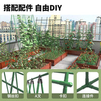 爬藤架葡萄黄瓜豆角架植物支撑杆种菜花支架园艺户外庭院西红柿架.. 绿色 直径16mm长120cm【10支】送扎带