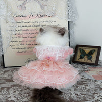 Handmade Sweet Mesh Doll Cat Golden Shaded Doll Outdoor Princess Dress