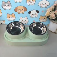 Raised Double Pet Bowls with Non-Slip Base for Food and Water