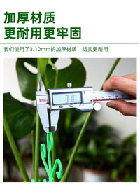 Monstera Plant Support Stakes for Anti-Toppling and Stem Training, 4-Piece Set