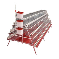 Galvanized Layer Hen Cage with Automatic Manure Removal and Feeding Trough, 3-4 Tiers