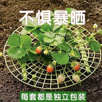 Strawberry Plant Support Stand for Garden and Planters, Prevents Rot and Toppling