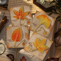 Vintage Leaf Metal Bookmark with Gift Box, Elegant Design for Students and Teachers