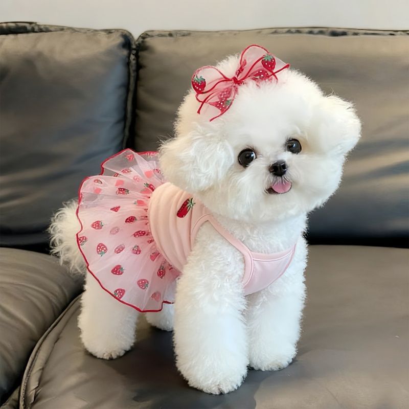 Pet Bowknot Princess Dress for Small Dogs & Cats - Breathable Summer Apparel