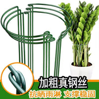 Half-Round Plant Support Stakes for Climbing Vines & Potted Plants, Anti-Toppling Garden Flower Stand