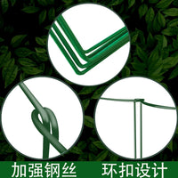 Semi-Circular Iron Plant Support Stakes for Climbing Plants and Flowers