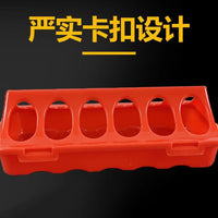 Automatic Quail Feeder and Waterer for Small Birds