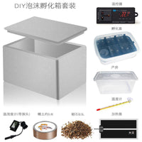 Reptile Egg Incubator Kit with Tray for Geckos, Tortoises, Lizards, and Snakes