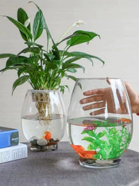 Creative Glass Fish Tank for Desktop, Small Round Aquarium for Goldfish and Turtles, Hydroponic Planter