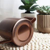 Mini Stainless Steel Watering Can for Indoor Plants & Succulents, Small Garden Sprinkler Pot