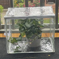 Mini Greenhouse for Balcony, Cold Protection, Plant Germination, Rainproof, Sunshade