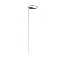 Plant Support Stakes for Potted Flowers, Orchid, Amaryllis - Rust-Resistant Coated Iron Garden Plant Support