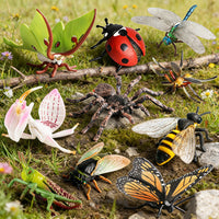 Kids' Educational Insect and Animal Figurines Set - Cicada, Mantis, Butterfly, Bee Models