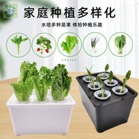 Hydroponic Growing System Indoor Soilless Planter Box for Home Gardening