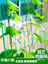 Garden Plant Trellis Net for Climbing Vegetables, Fruits and Flowers