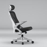 Ergonomic Office Chair with Adjustable Height and Lumbar Support, Swivel Desk Chair for Study and Work