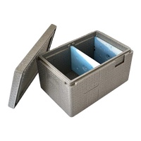 Commercial Insulated Cooler Box for Cold Chain, Ice Cream, Camping, and Food Refrigeration